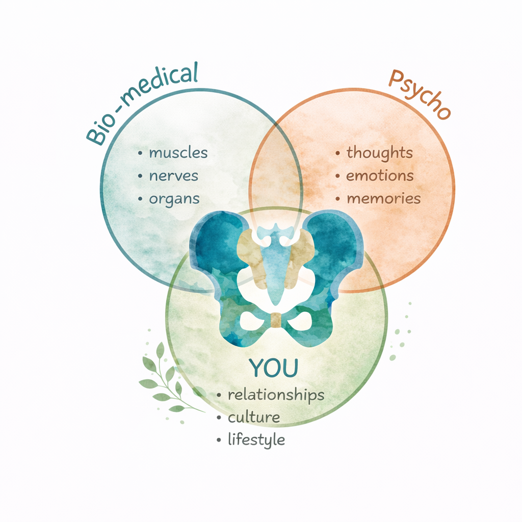 Watercolour Venn diagram of the bio-psycho-social model: Bio-medical, Psychological, and Social circles overlapping, with a pelvis illustration and YOU at the centre