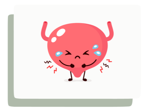 Bladder Dysfunction illustration