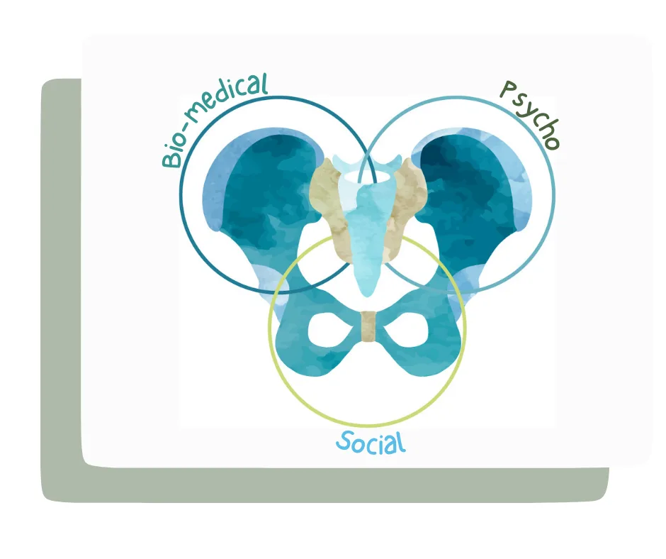Three interconnected rings representing the bio-psycho-social model