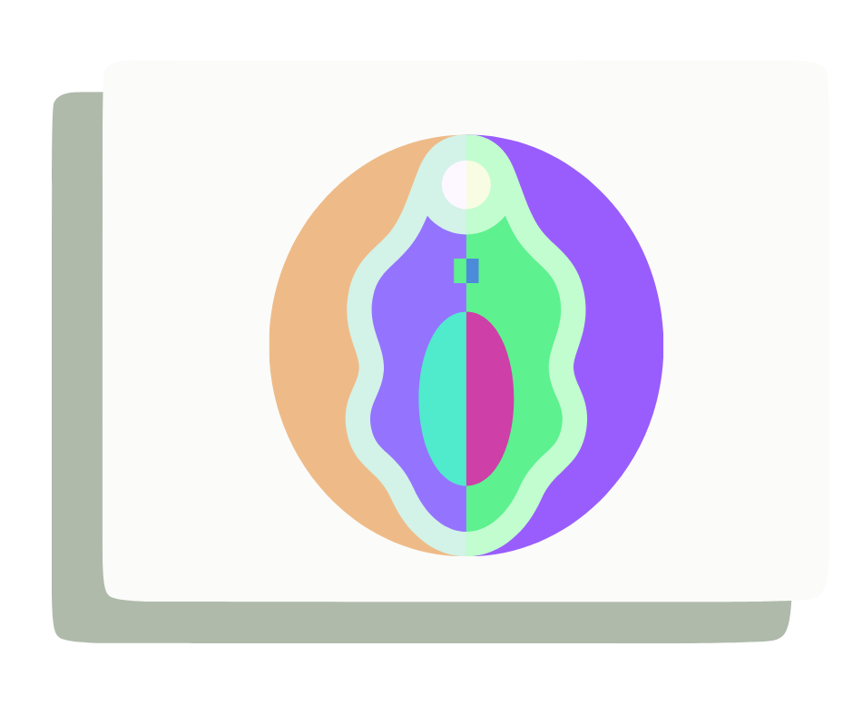 Vulvo-Vaginal Conditions illustration